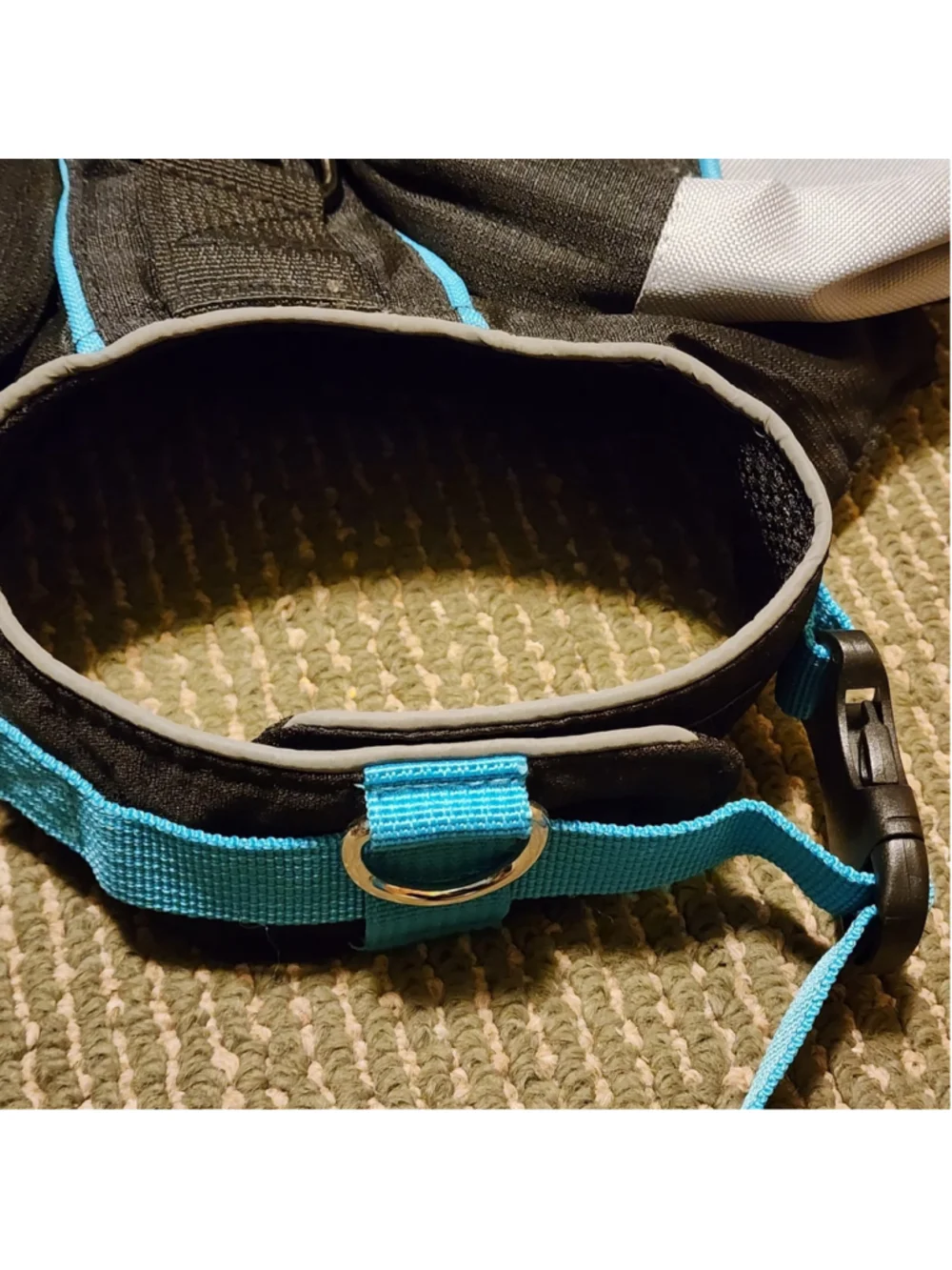 ZippyPaws Adventure Backpack for Dogs Small Size Grey Blue